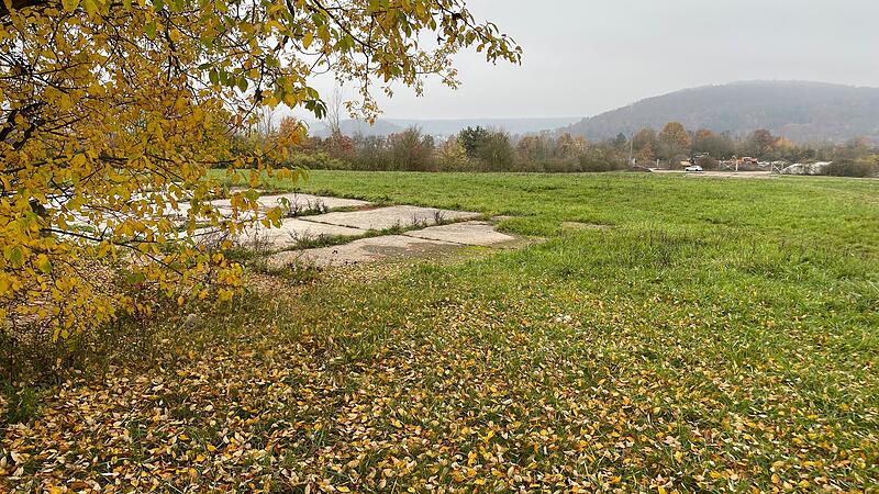 Der nördliche Bereich der früheren Kaserne in Bad Kissingen soll Gewerbegebiet werden. Ein großer Teil des Areals wurde von der Natur zurückerobert und wird auch künftig als Lebensraum für bedrohte Tierarten benötigt.