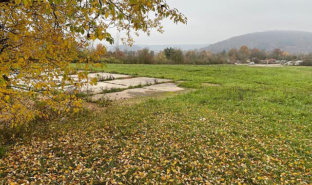 Der nördliche Bereich der früheren Kaserne in Bad Kissingen soll Gewerbegebiet werden. Ein großer Teil des Areals wurde von der Natur zurückerobert und wird auch künftig als Lebensraum für bedrohte Tierarten benötigt. Der nördliche Bereich der früheren Kaserne in Bad Kissingen soll Gewerbegebiet werden. Ein großer Teil des Areals wurde von der Natur zurückerobert und wird auch künftig als Lebensraum für bedrohte Tierarten benötigt.