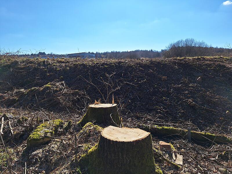 Betrieb f&uuml;r Gewerbegebiet Volkers: auch Wohnen m&ouml;glich