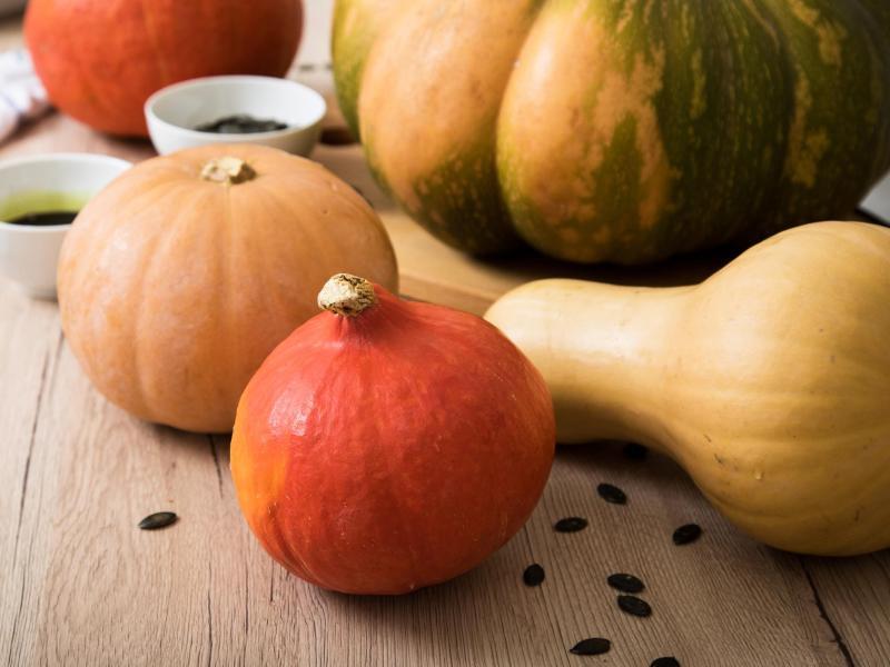 Unterschiedliche Formen und Farben Unterschiedliche Formen und Farben