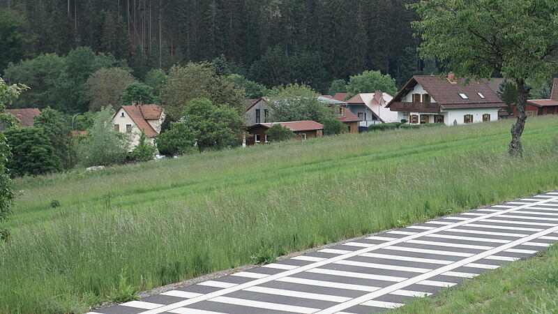 W&ouml;lfin rei&szlig;t in Oberbacher Ortsmitte Schaf
