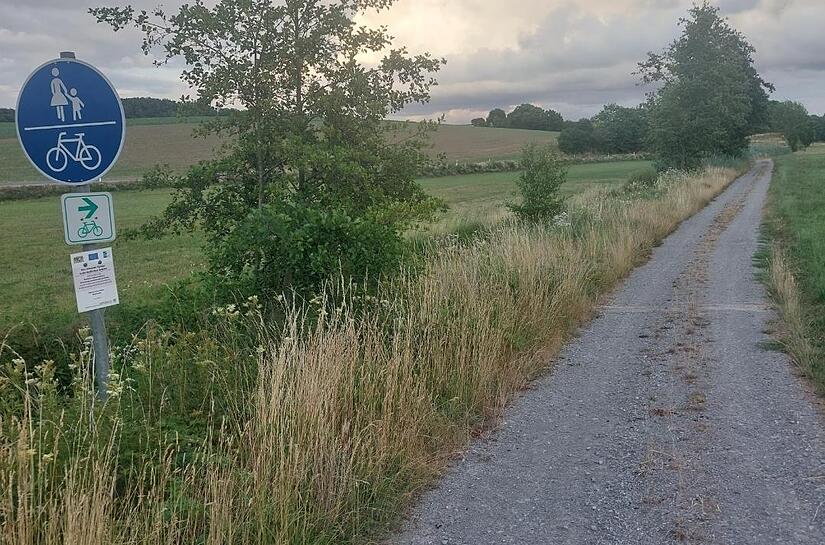 Die Natur passt, aber nicht der Radweg, monierten einige der Gemeinderäte.