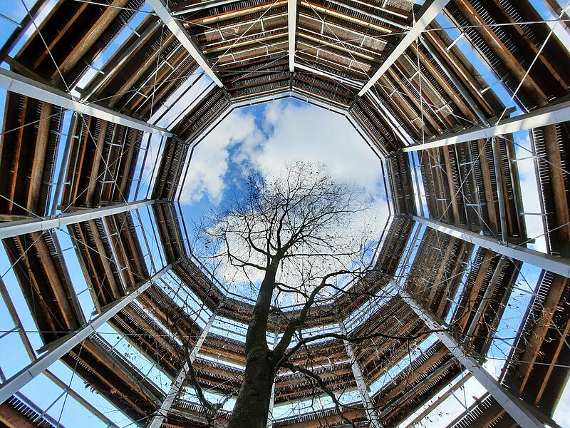 Foto "Baumwipfelpfad Ebrach"