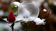 Dieses Foto zeigt den Frost an einer Seifenblase.