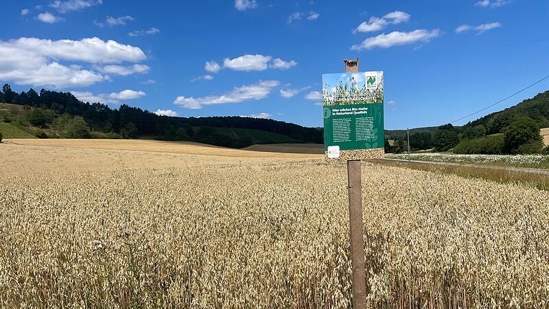 Besuch beim Naturlandbauern Bund Naturschutz