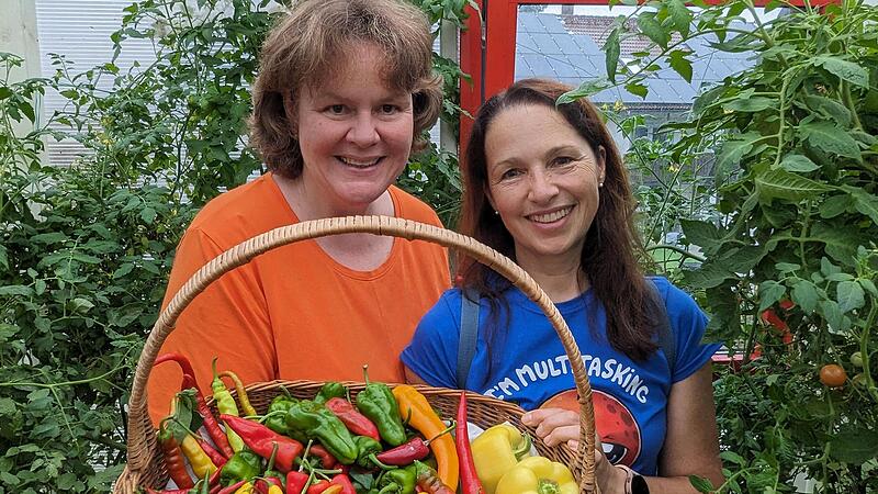 Michaela Dörnhöfer (links) und Dagmar Besand haben bei ihrem Chili-Experiment eine reiche Ernte eingefahren.