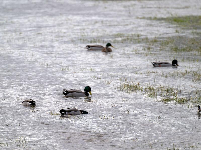 Hochwasser in Bayern