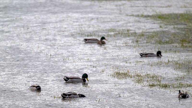 Hochwasser in Bayern