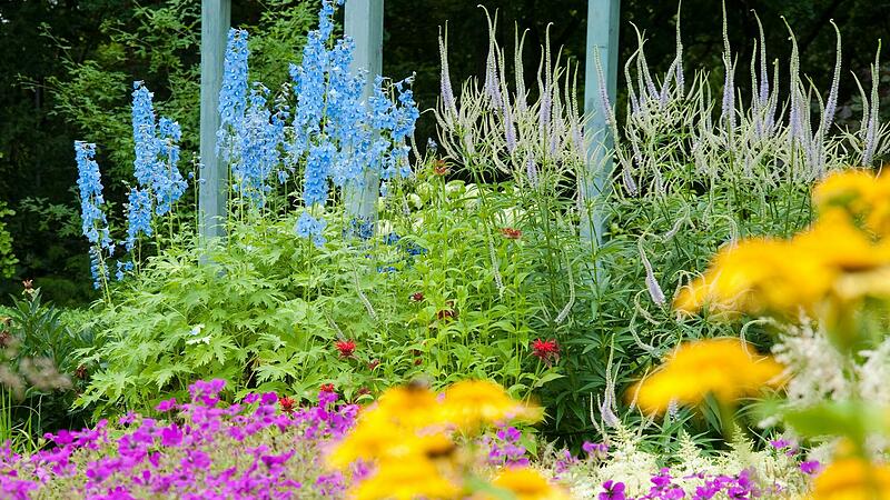 So w&uuml;nschen es sich nicht nur die Kitzinger Gr&uuml;nen: Bl&uuml;hender Staudengarten im Sommer.
