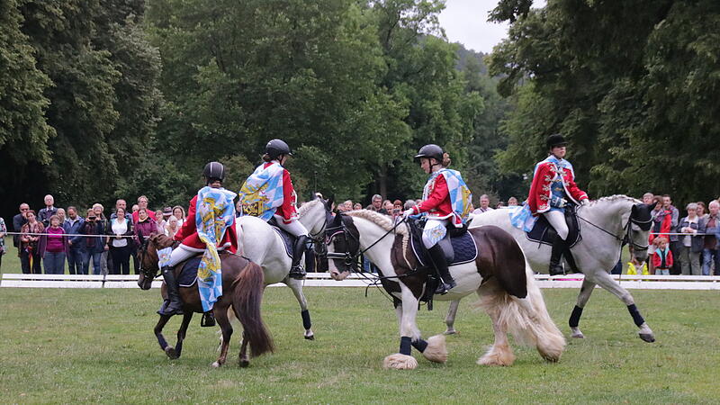 Quadrille 2023