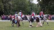 Quadrille 2023 Quadrille 2023