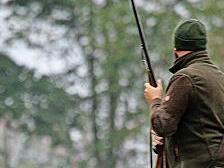 Der Nachweis der Schussfestigkeit ist zwingende Voraussetzung für jeden Jagdhund.