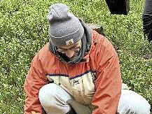 Roteichen waren eine der Baumarten, die geplanzt. wurden.