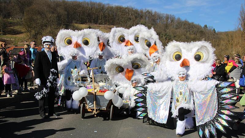 Die Gruppe Luise Frank hat mit aufwendigen Kostümen als Schneeeulen beeindruckt.