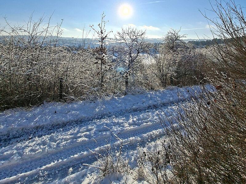 Leserfotos: So sch&ouml;n ist der Frankenwald im SchneeLeserfotos Schnee Januar 2026