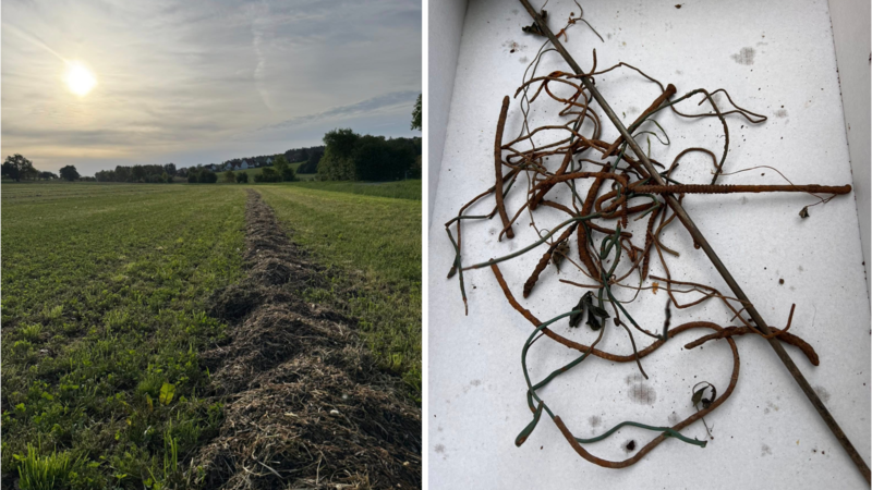 Bei der Luzerne-Ernte findet ein Landwirt mehrere Nester an Metallteilen. War es Sabotage?Forchheim & Fränkische Schweiz Bei der Luzerne-Ernte findet ein Landwirt mehrere Nester an Metallteilen. War es Sabotage?