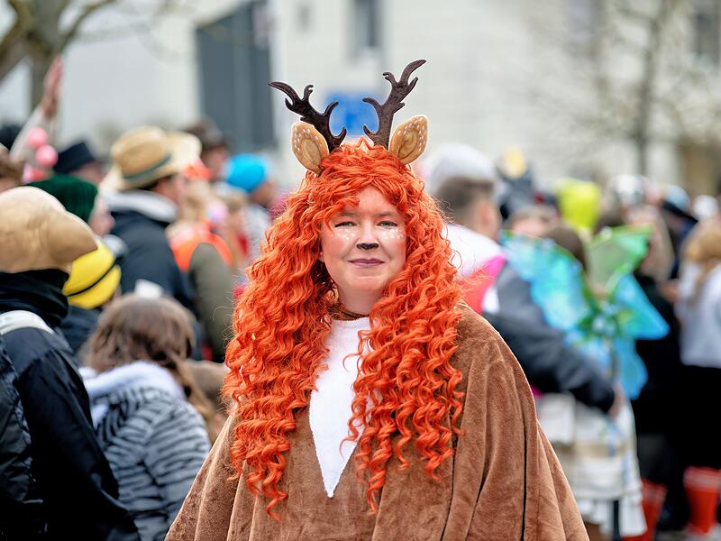 Alle Fotos vom Faschingszug in Oberhaid 2026
