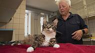 Immer weniger &Auml;rzte k&uuml;mmern sich um immer mehr Haustiere. Auch im Landkreis Forchheim f&uuml;hrt das zu Problemen. Diese Erfahrung macht auch Tierheim-Chefin Christine Schneider-Knapp (hier mit Katze Kimberly).Forchheim & Fr&auml;nkische Schweiz