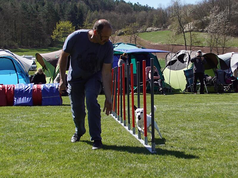 Der Slalom ist nicht nur eng, die Stangen müssen auch auf der richtigen Seite passiert werden.