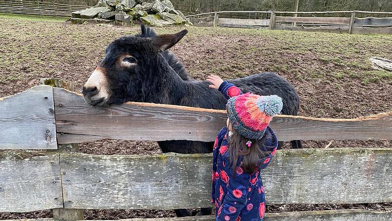 Wild-Park Klaushof Wild-Park Klaushof