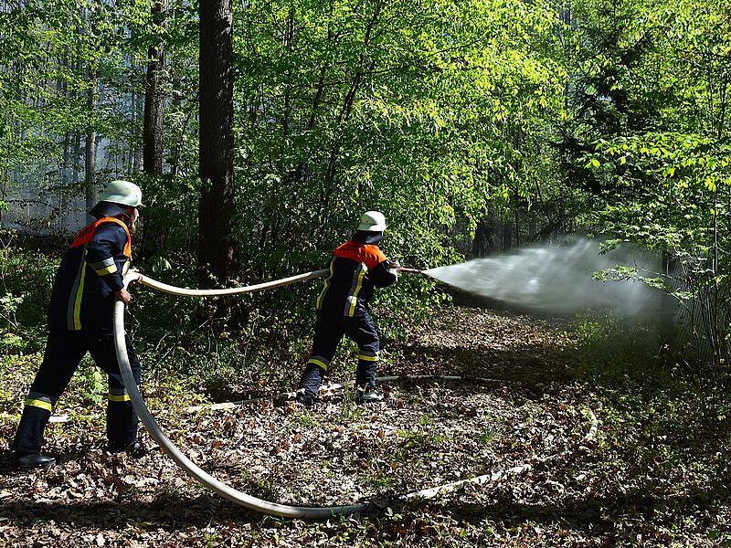 Vegetationsbrände Vegetationsbrände
