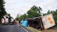 Biene sticht Fahrer - Lkw kippt auf Radweg Biene sticht Fahrer - Lkw kippt auf Radweg