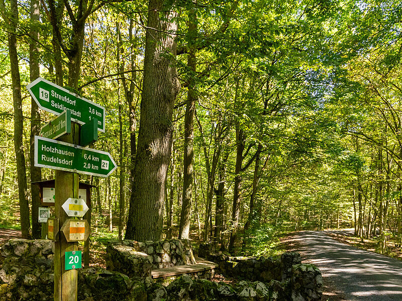 Wandern in Coburg Rennsteig