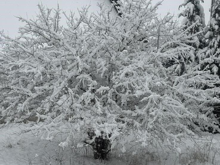 Schnee in Kulmbach: Die sch&ouml;nsten Leserfotos