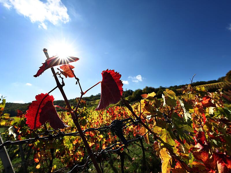 Herbst in Bayern Herbst in Bayern