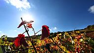 Herbst in Bayern Herbst in Bayern