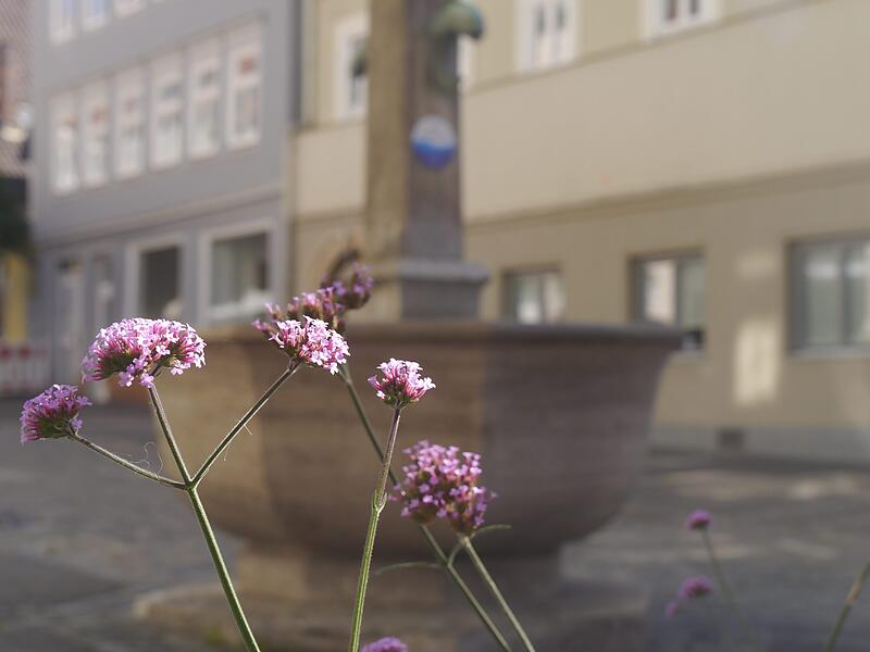 Bürglaßbrunnen in der Coburger Innenstadt