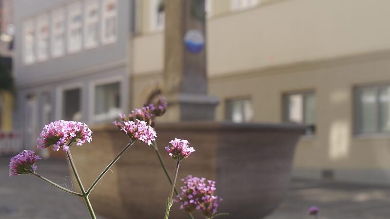 B&uuml;rgla&szlig;brunnen in der Coburger Innenstadt