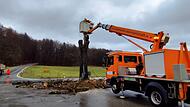 Die Linde an der Staatsstra&szlig;e an der Einfahrt Richtung Wohlmuthsh&uuml;ll  gef&auml;hrdete akut die Verkehrssicherheit und wurde gef&auml;llt.Forchheim & Fr&auml;nkische Schweiz