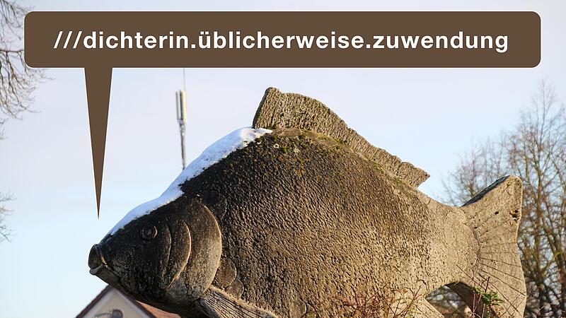Auch die Karpfenfigur &bdquo;Fridolin&ldquo; in H&ouml;chstadt hat eine Drei-Wort-Adresse, n&auml;mlich ///dichterin.&uuml;blicherweise.zuwendung.