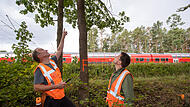 Deutsche Bahn - Vorsorge gegen Stürme Jürgen Harm (l), Forstwirt Baumkontrolleur bei der DB-Fahrwegdienste, und Matthias Häckl, Forstingenieur und Servicleiter Bahnkontrolle bei der DB-Fahrwegdienste begutachten Bäume in einem Forst neben einer Bahnstrecke. (zu dpa: «3.000 Bäume müssen weg - Bahn sperrt Strecke in Unterfranken»)