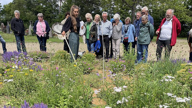 Dr. Fabienne Maihoff zeigt, was im Dorf an Stra&szlig;enr&auml;ndern, G&auml;rten und &ouml;ffentlichen Fl&auml;chen an Insektenvielfalt zu finden ist.