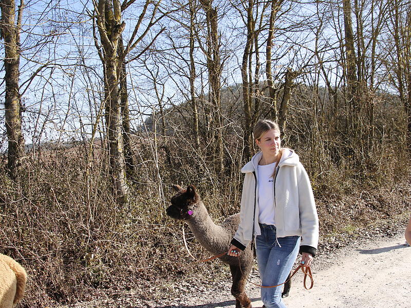 Sonne und Natur während der AlpakawanderungAlpakawanderung Reichenbach Sonne und Natur während der Alpakawanderung