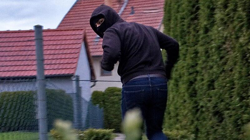 Sieben Nymphensittiche aus Käfig im Kreis Kulmbach gestohlen Sieben Nymphensittiche aus Käfig im Kreis Kulmbach gestohlen
