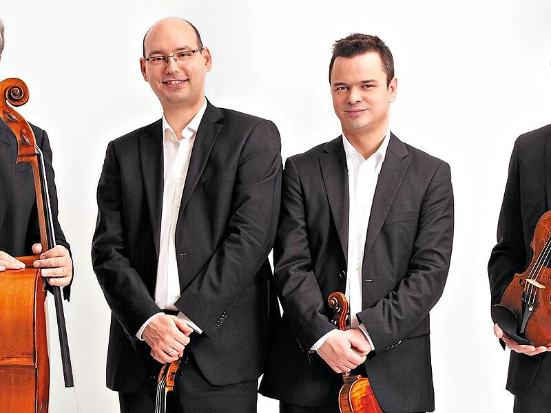 Das Bamberger Streichquartett bekommt am Samstag Verst&auml;rkung. Sonja Krebs