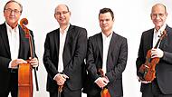 Das Bamberger Streichquartett bekommt am Samstag Verstärkung. Sonja Krebs Das Bamberger Streichquartett bekommt am Samstag Verstärkung. Sonja Krebs