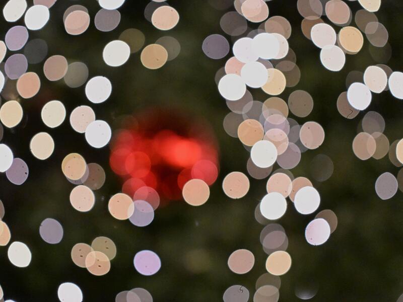 Weihnachtsmarkt in Halle