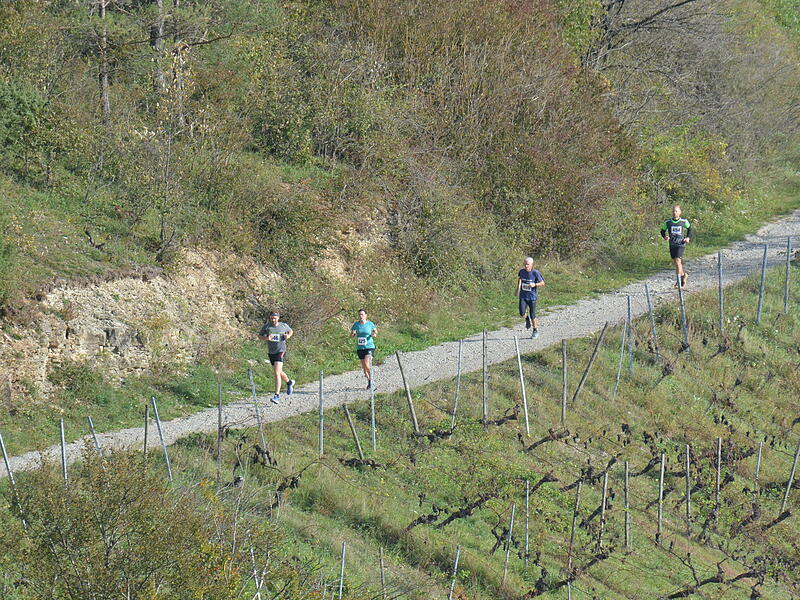 Weinberglauf des SV Ramsthal