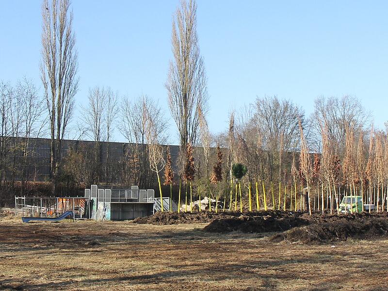 Krippen-, Kindergarten- und Hortgruppen entstehen in der Merowingerstra&szlig;e. Im Sommer soll der Bau beginnen, heuer sind Kosten 3,1 Millionen  Euro geplant. (von 13 Gesamtmillionen).