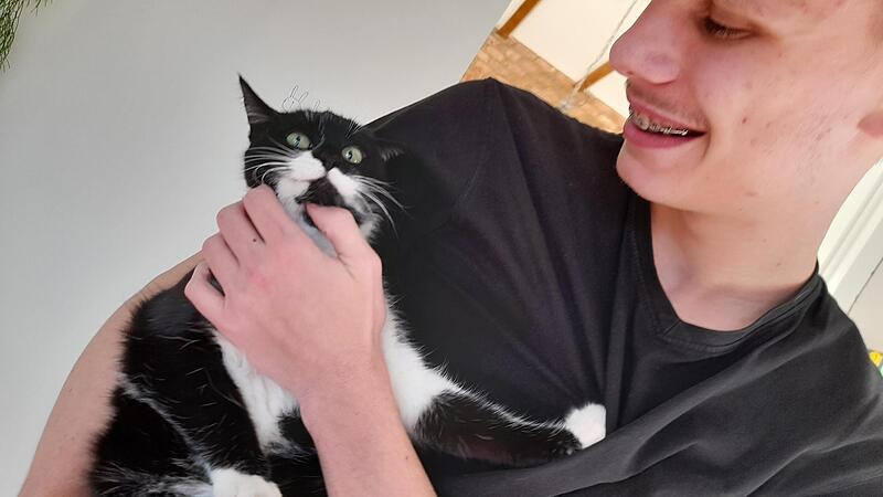 Finn Koch hält die angeschossene Katze Sunny kurz in die Kamera.