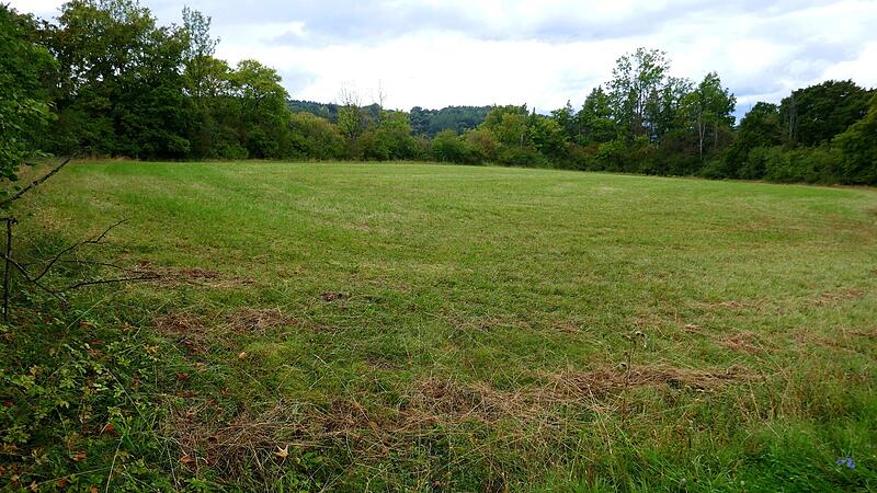 Auf dieser Wiese soll ein Einfamilienhaus gebaut werden.