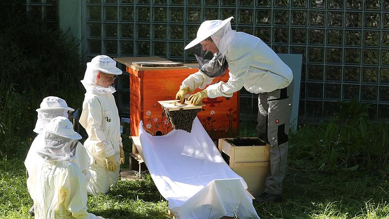 Neugierig beobachten die Grundsch&uuml;ler der Bienen-AG mit ihrer Projektleiterin Agnes Brandner die Ankunft der Insekten in ihrem neuen Bienenstock.