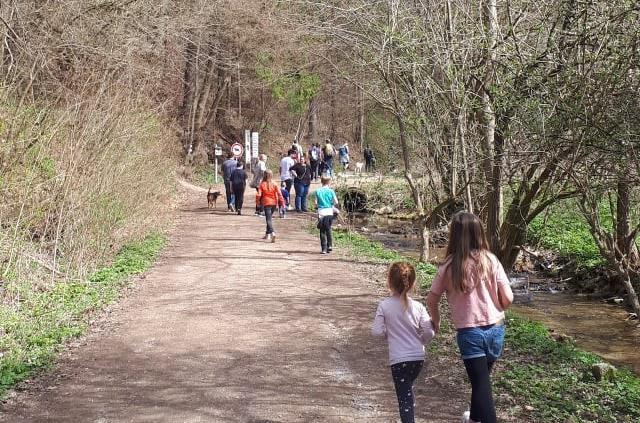 Am Wochenende werden auch im Landkreis Forchheim wieder viele Menschen die Wanderwege bevölkern.Forchheim & Fränkische Schweiz