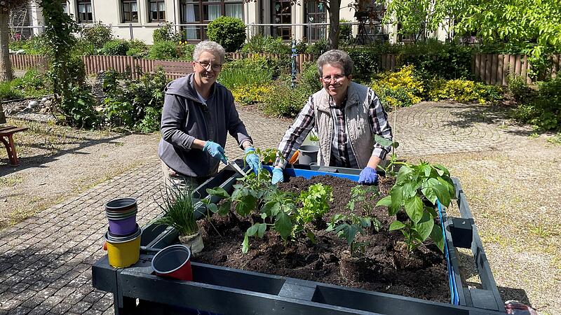 Unsere ehrenamtlichen Helferinnen bepflanzten das Hochbeet.