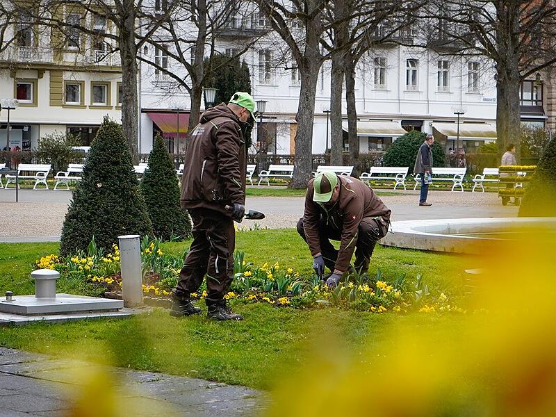 Frühlingsbepflanzung im Kurgarten