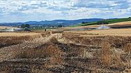 Beim Brand großer landwirtschaftlicher Flächen bei Lettenreuth am 13. Juli arbeiteten Feuerwehrleute und Landwirte zusammen.